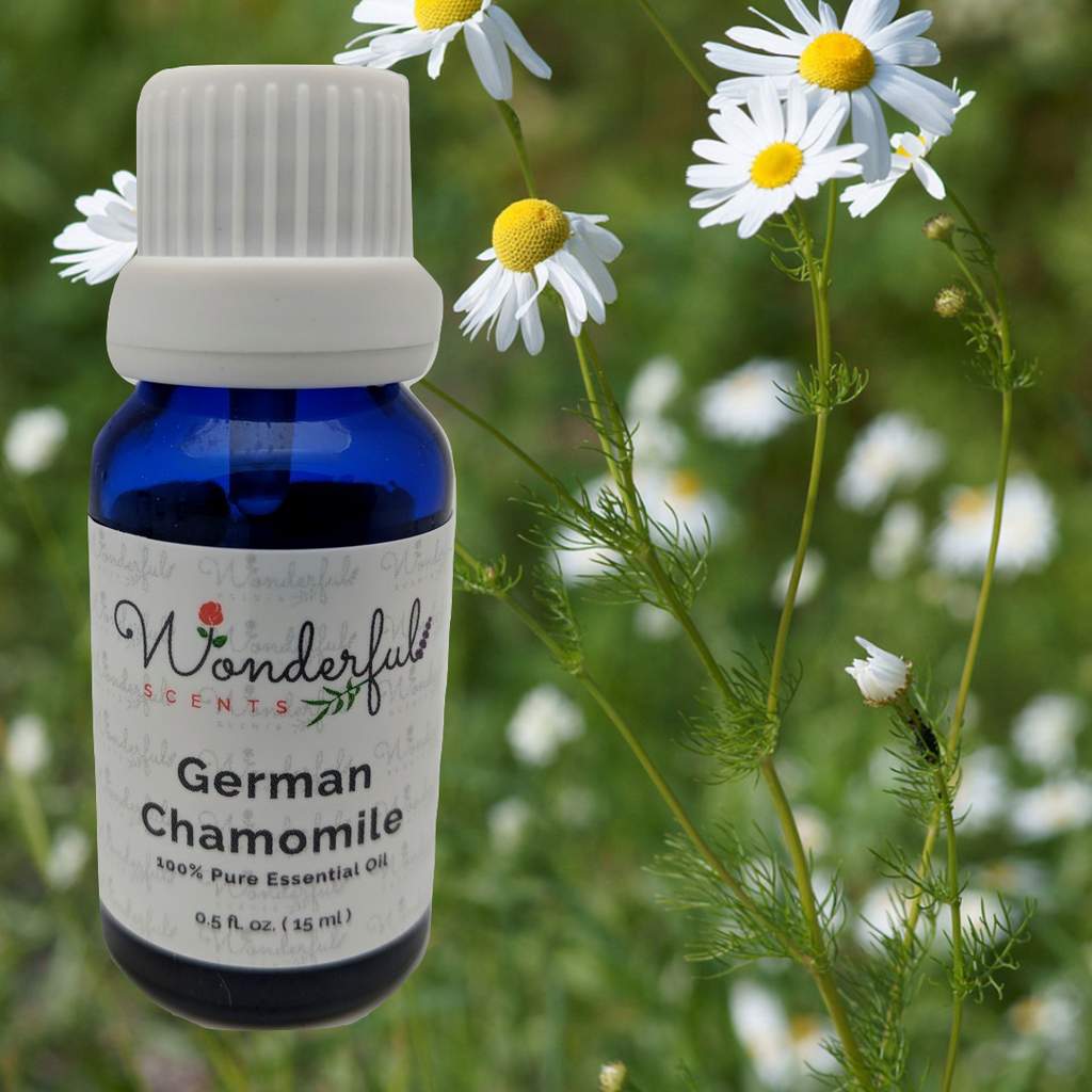 German Chamomile Essential Oil The Oil You Need To Know About