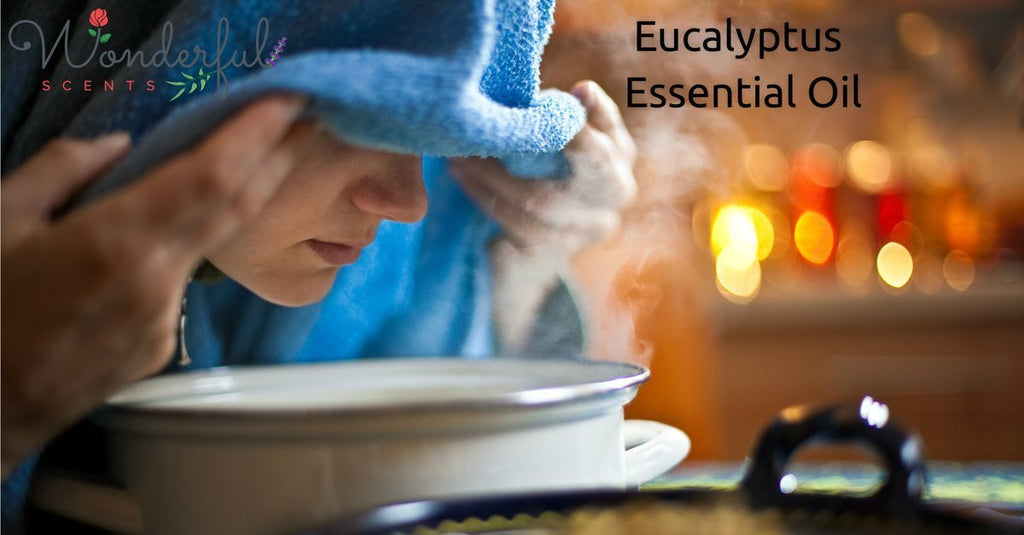 The Essential Must Have on Hand Essential Oil:  Eucalyptus