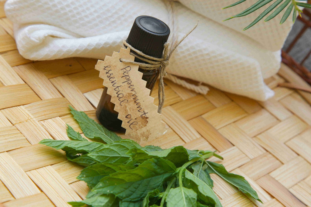 Peppermint Essential Oils for Your Hair