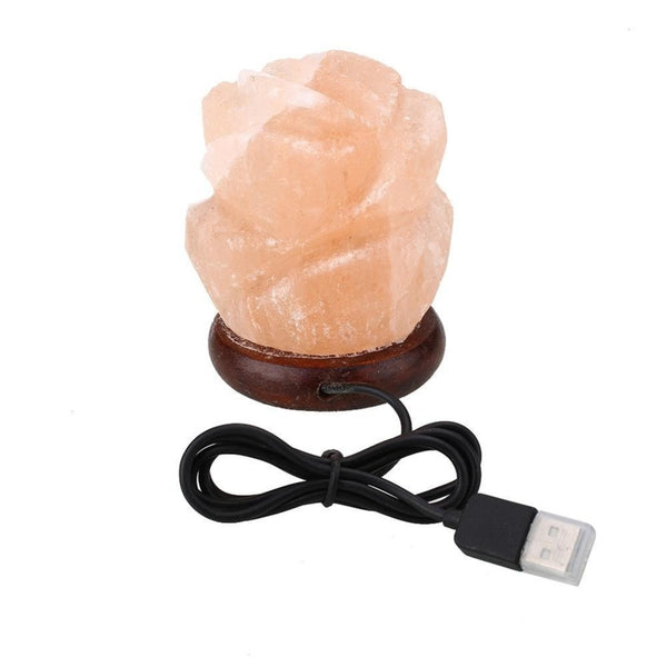 Rose Carved Himalayan Salt USB LED Lamp